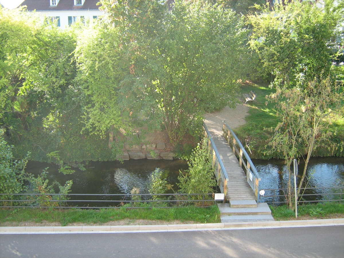 Natur grünes Klassenzimmer in Hausach